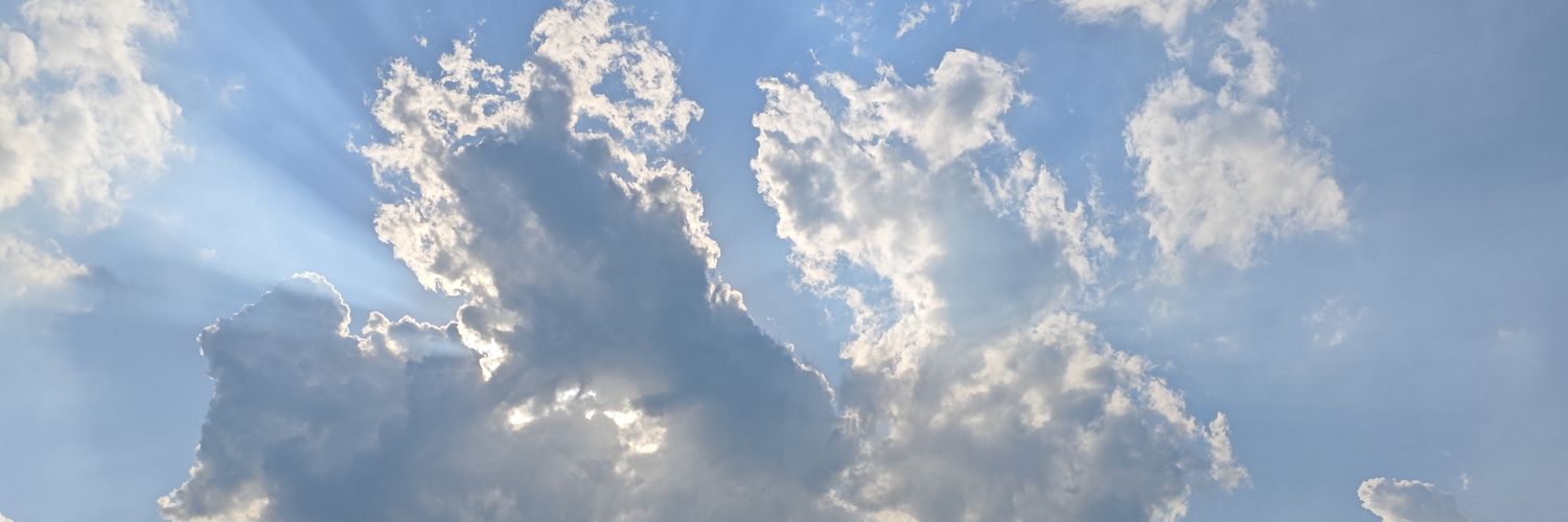 ang229689's profile banner image