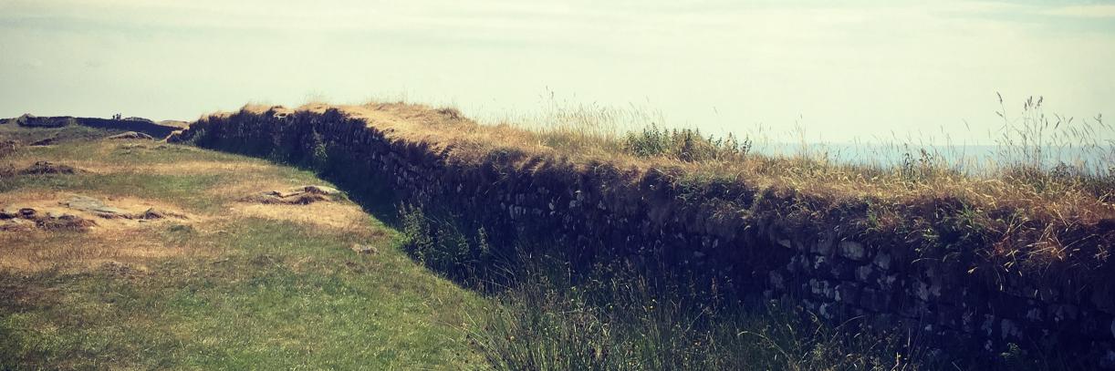 TealeahAnn's profile banner image