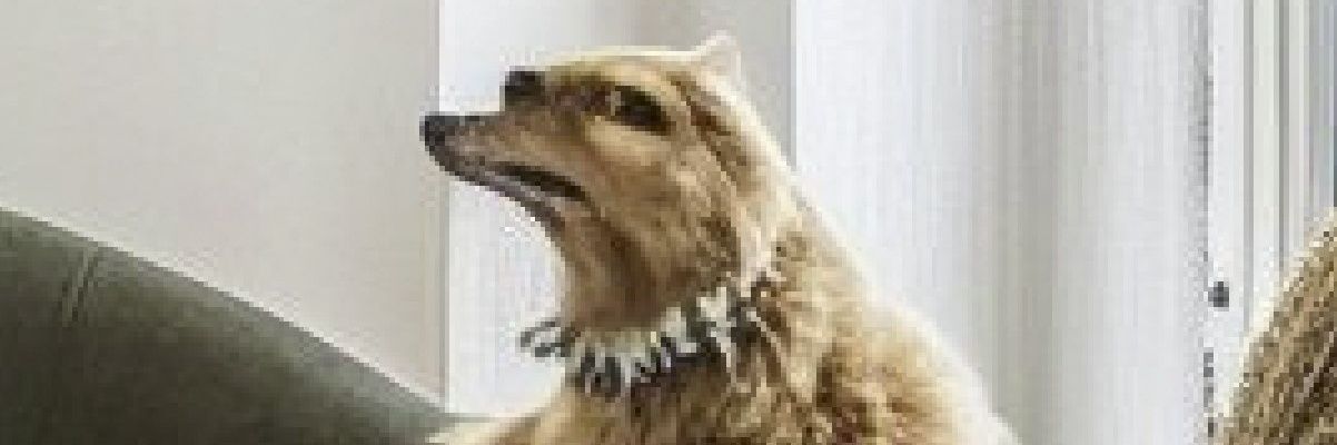 Marc_Cyc's profile banner image