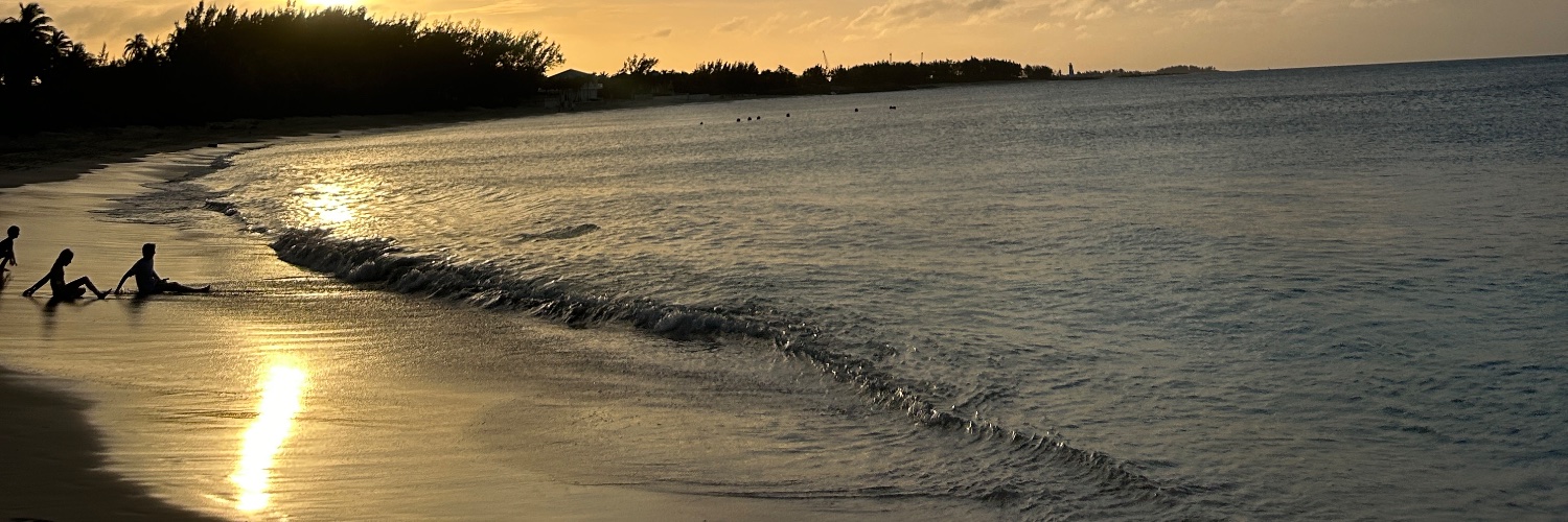 garibandz's profile banner image