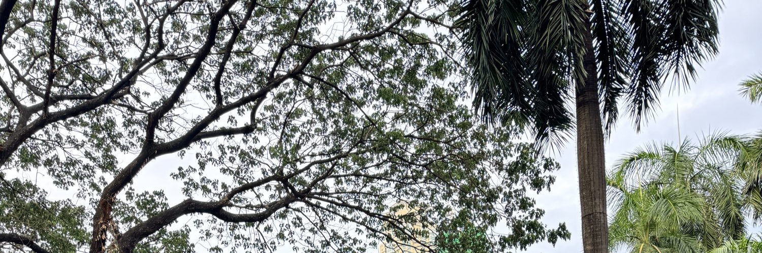 letsgokstuff's profile banner image
