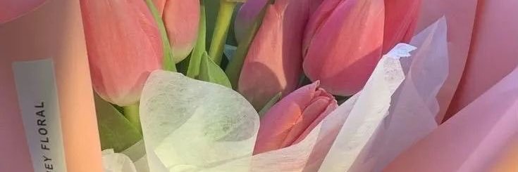 flora⁷ is seeing bts 🎀 banner