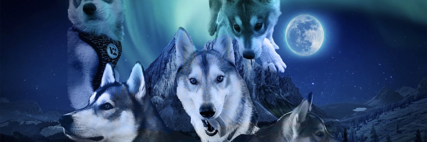_vilraul's profile banner image