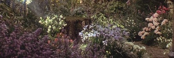 SeacrettGarden Profile Banner