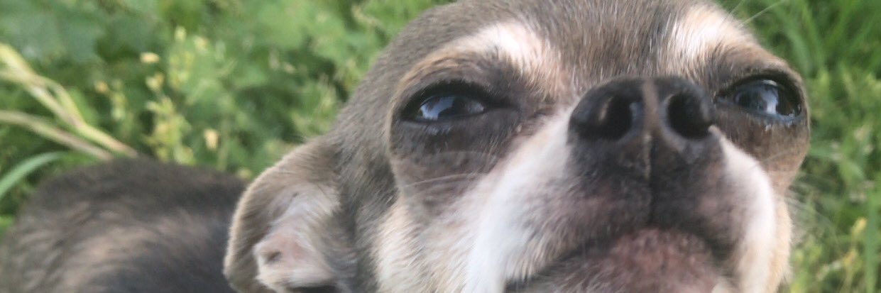 Ayychantal's profile banner image