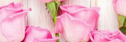 _Betty19's profile banner image