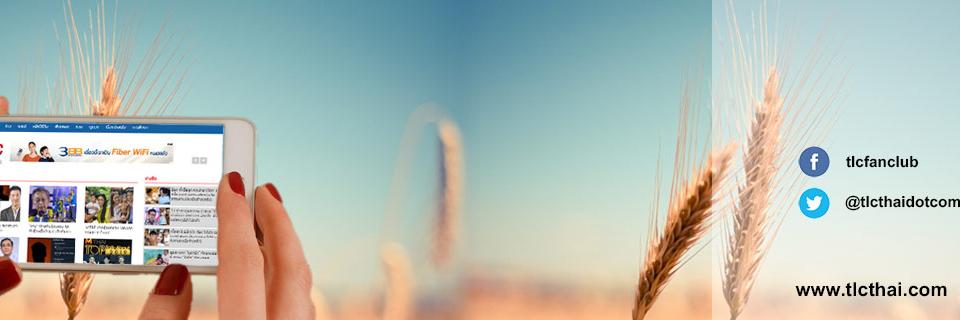 tlcthaidotcom's profile banner image