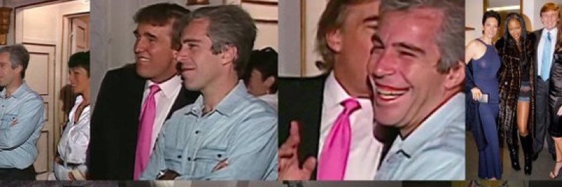 NPC Detector🚨🚔Trump is a pedophile's banner