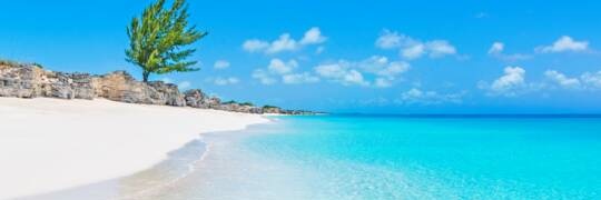 X banner