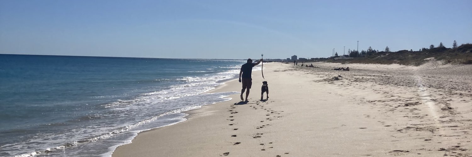 Georgie Bowes banner