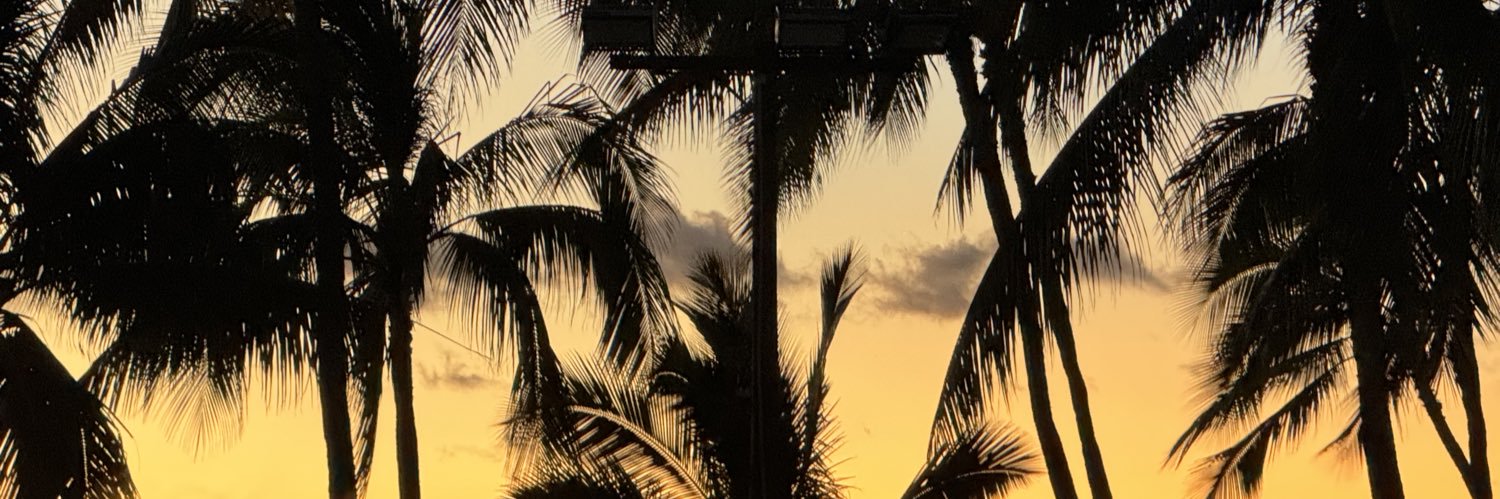OfficalJohnP's profile banner image