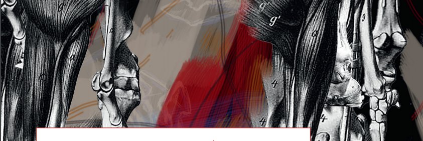 Alinta Krauth banner