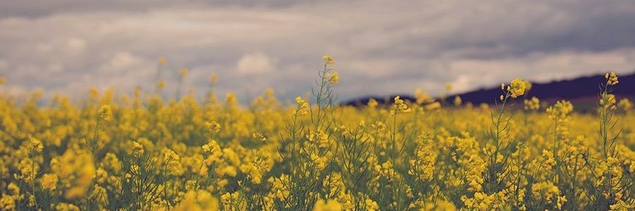 NNattiiz's profile banner image