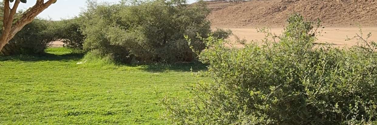 عيسى المطيري banner