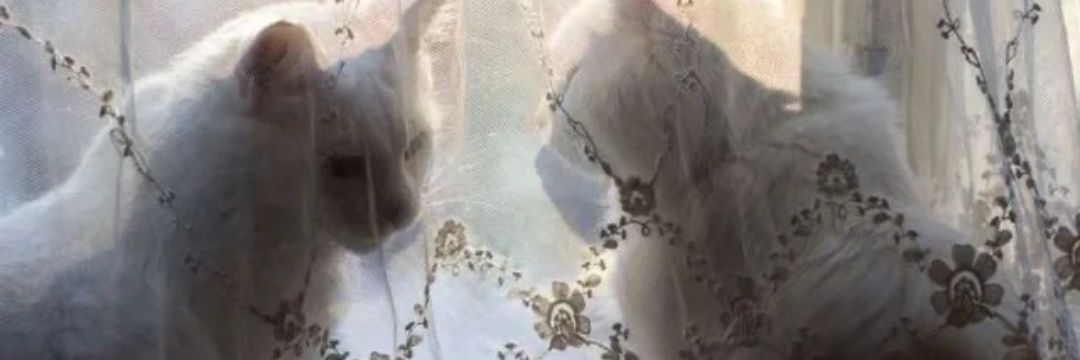 NDSL666's profile banner image