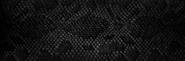 GulpAndGone's profile banner image