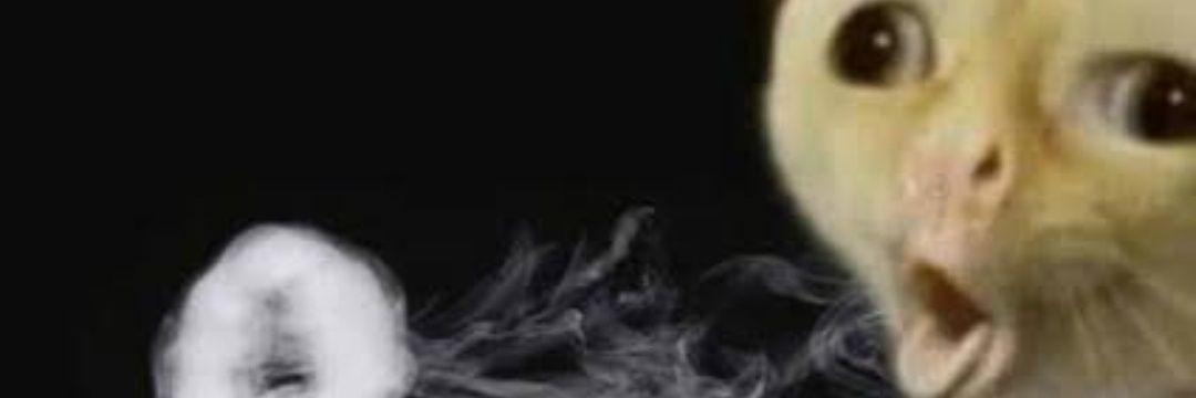 d_sinyoo's profile banner image