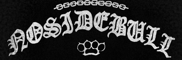 NosideBull_HC Profile Banner