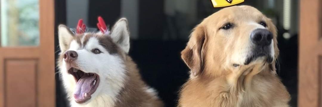 Vander_PO's profile banner image
