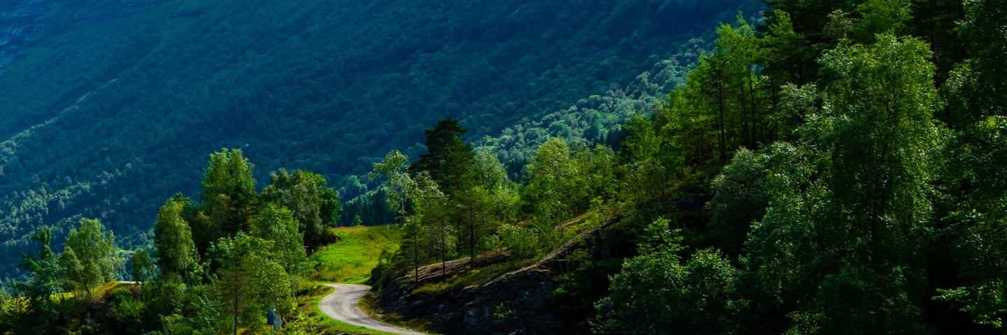 daood789's profile banner image