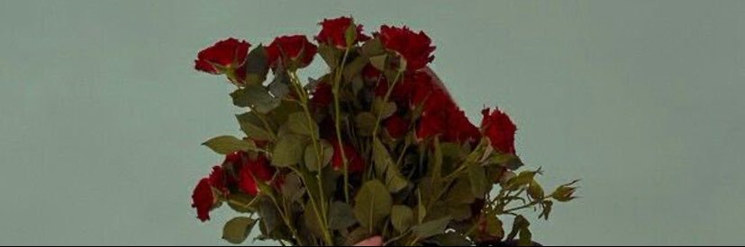 N banner