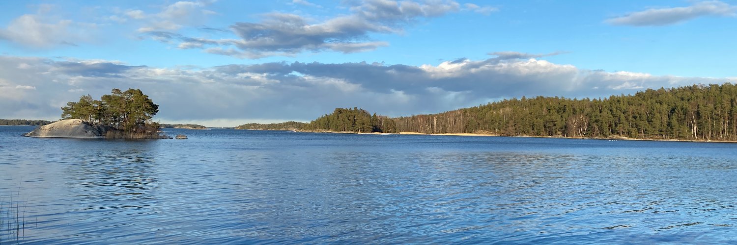 Niklas Gillström's banner