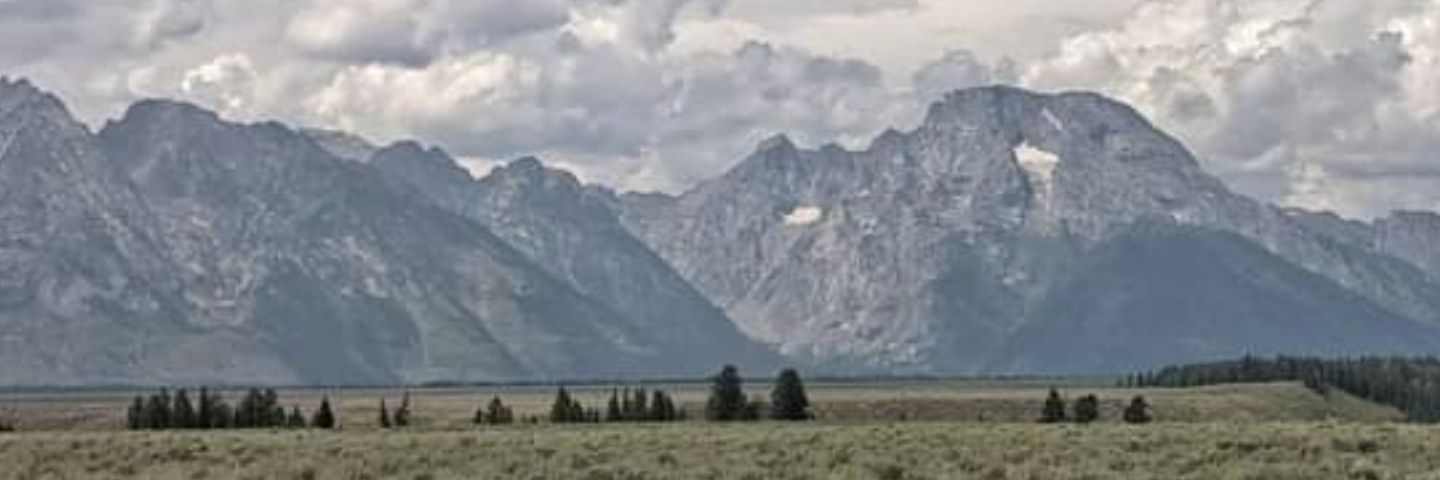 AccordingtoMegs's profile banner image