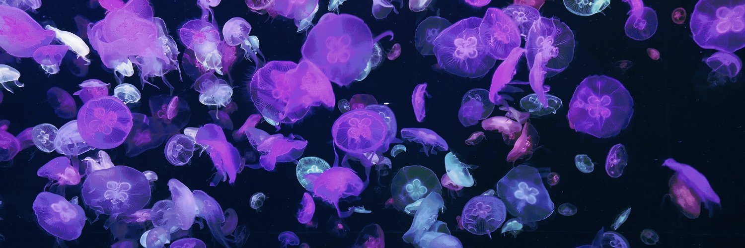 kiran the erra guy outlives the earth 🗡️🪼 banner