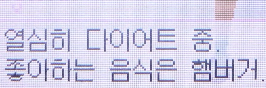 장모종 지구인 banner