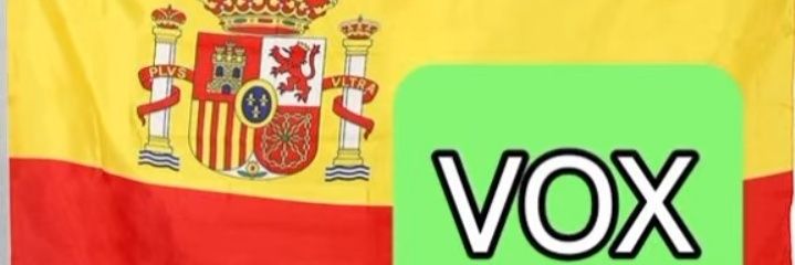 Luis Miguel 🇪🇸💚 🇪🇦's banner