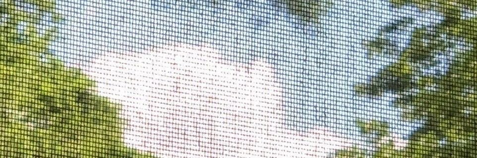 siah 🐦‍⬛ banner