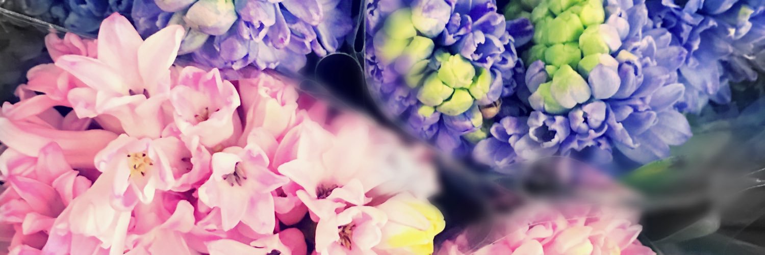 chantellylace6's profile banner image