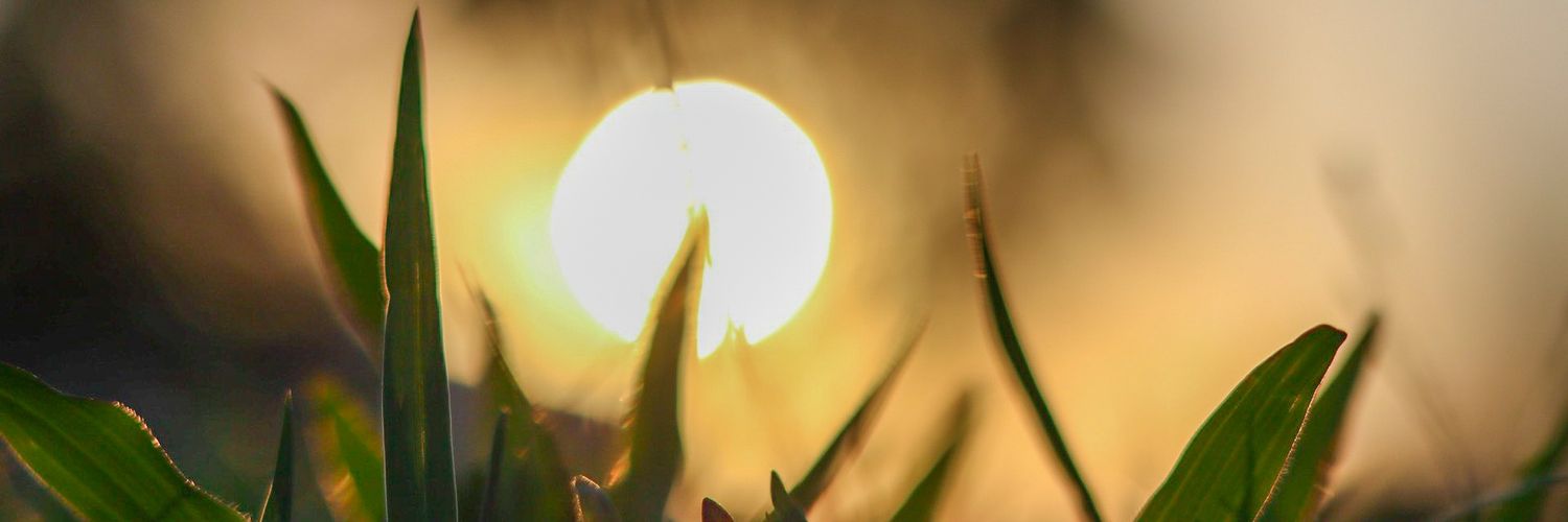 tvcxps's profile banner image