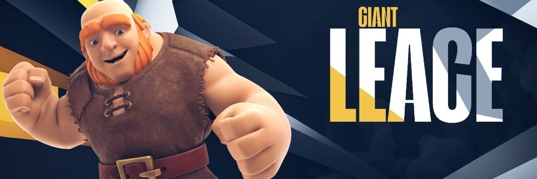 Leace banner