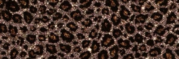 Angel 👼 banner