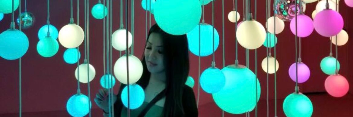 Ann Pham banner
