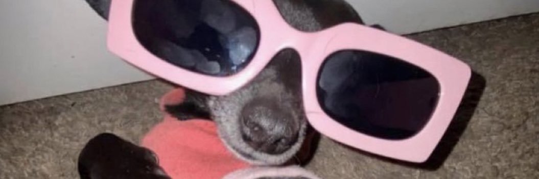 serenajustene's profile banner image