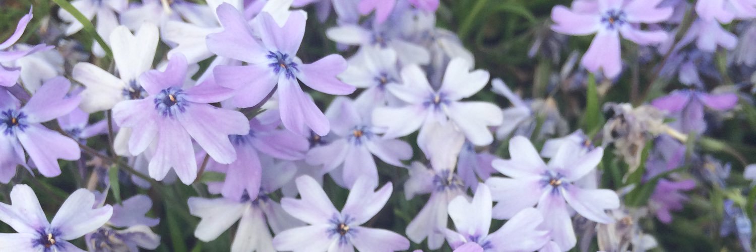 yumi141's profile banner image
