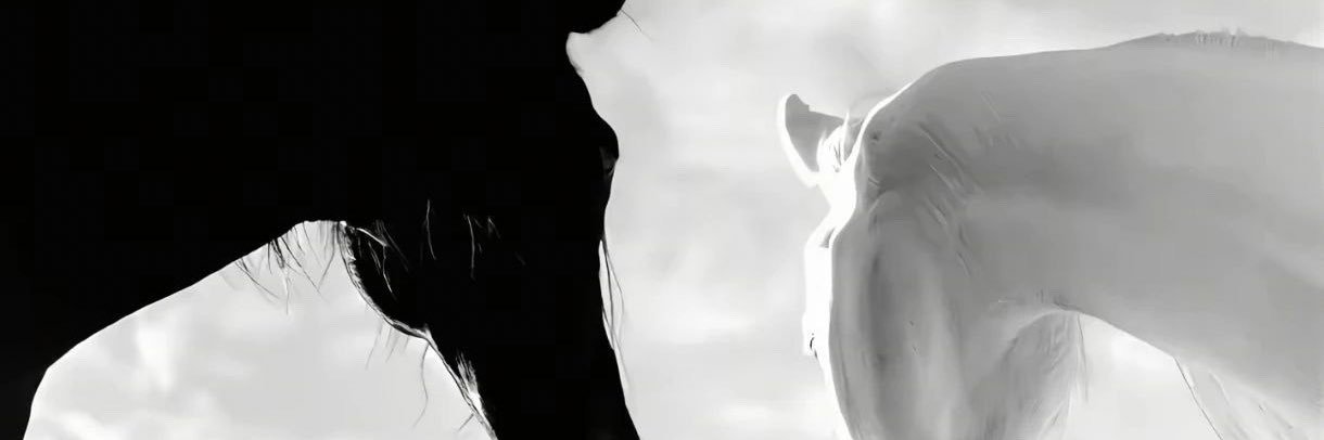 Ecnjnl's profile banner image