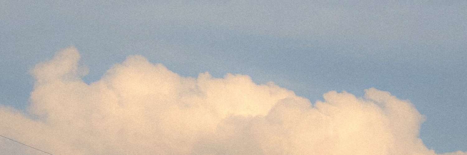 #1 megane spy xz propagandist ໒꒱ ₊ banner