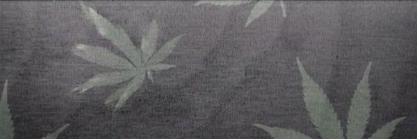 exelvis87 Profile Banner