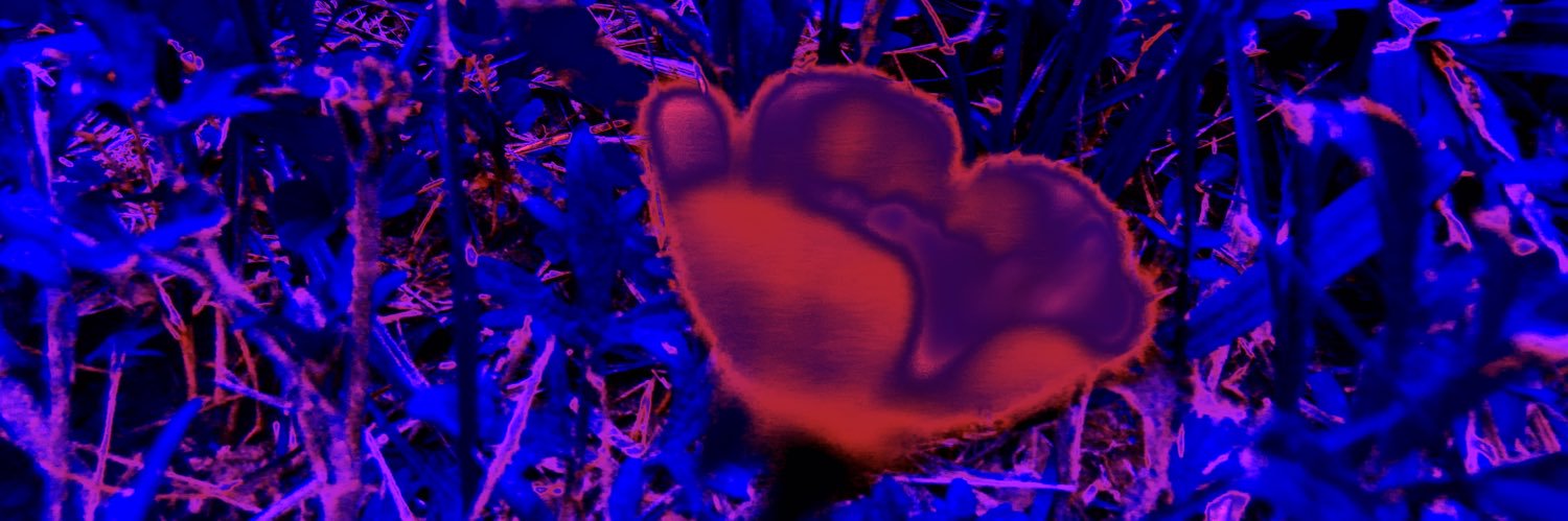 AlphanNthuo's profile banner image