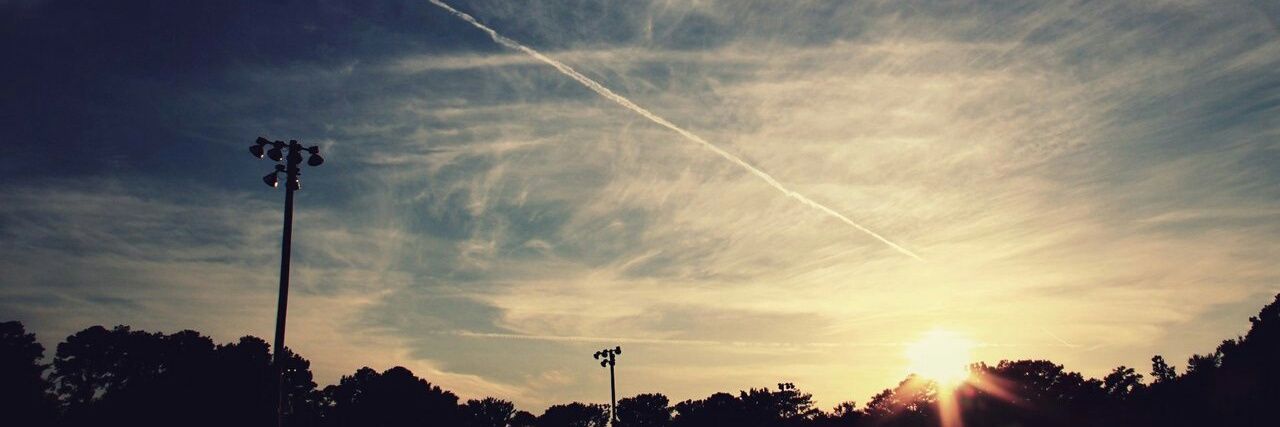 are you alice? banner