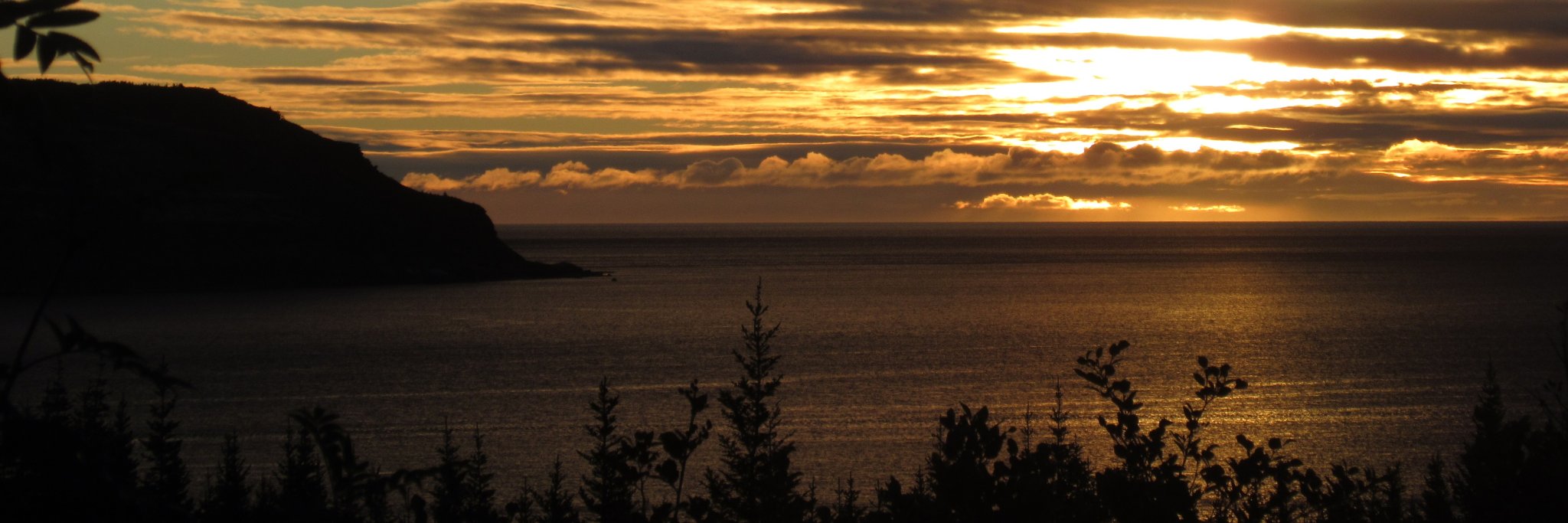 Rodney Barney banner