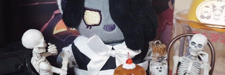 𐔌 . ⋮ Kᥱi 🦴 .ᐟ ֹ ₊ ꒱ banner