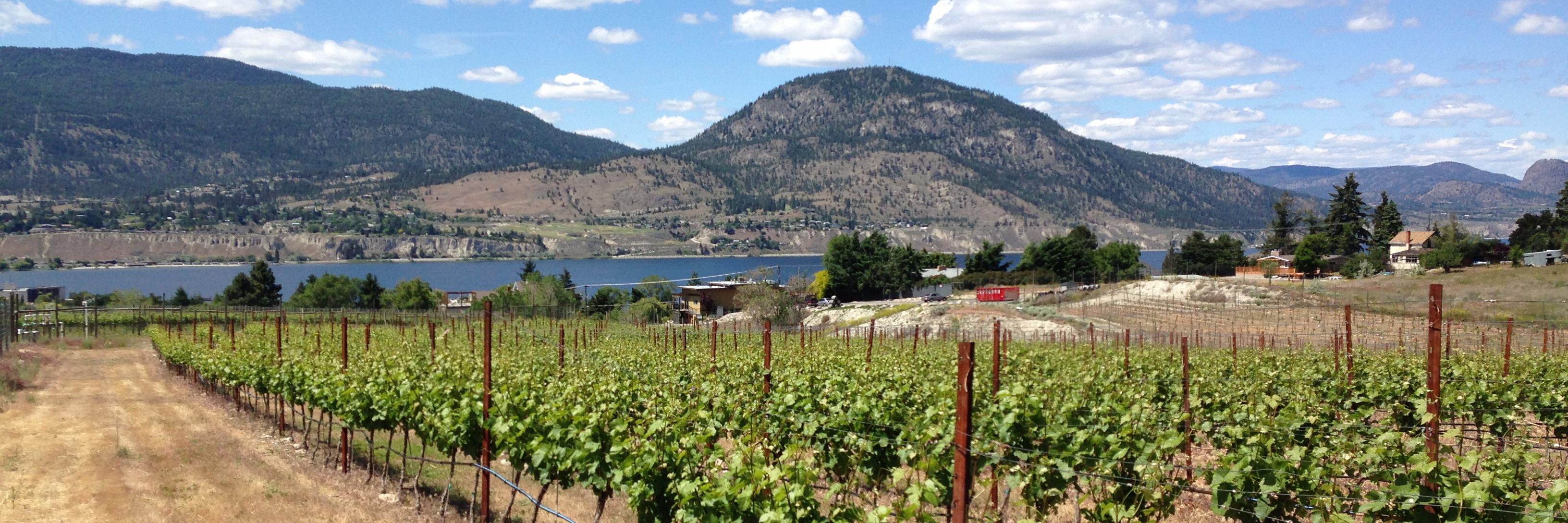 Perseus Winery banner