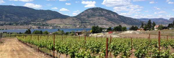 PerseusWine Profile Banner