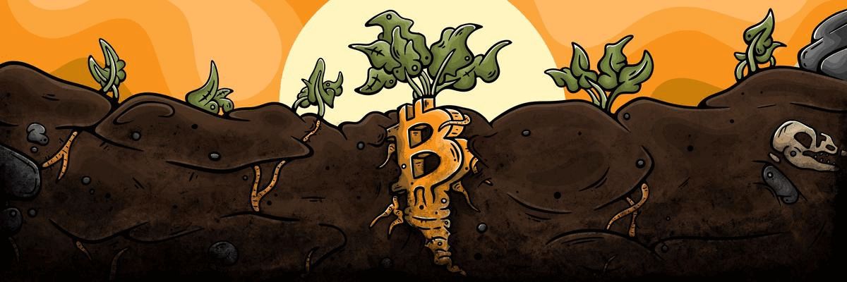 CryptoSavvy25's profile banner image