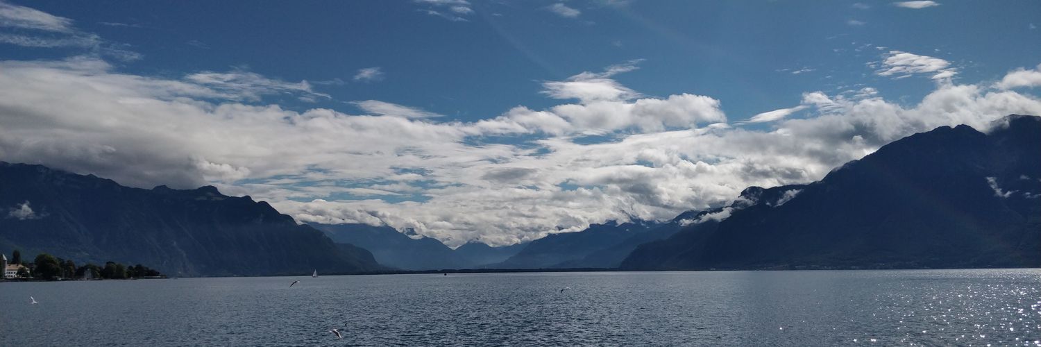 Fernando Gutierrez banner