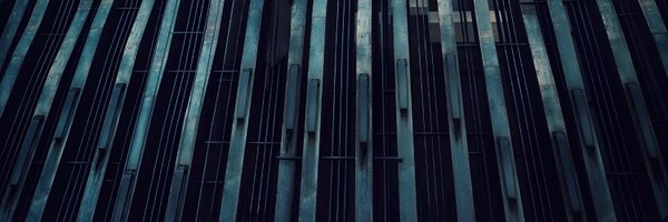 thetruebbq Profile Banner